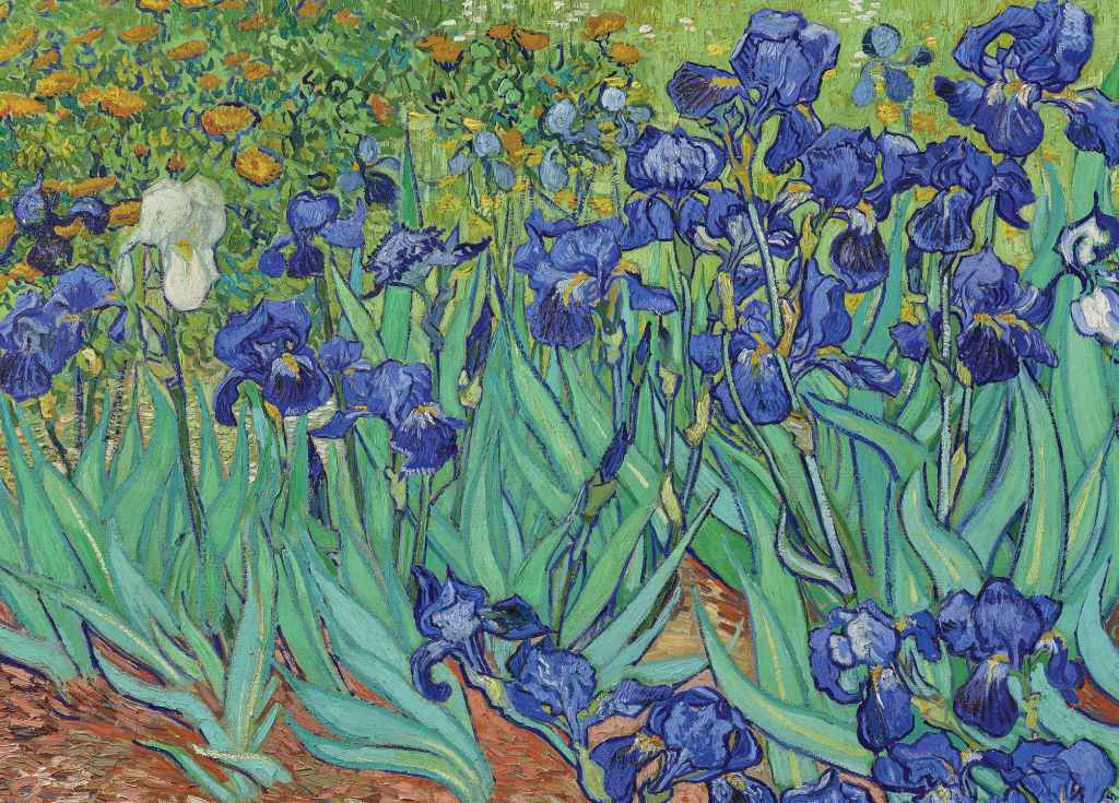 Irises - Vincent Van Gogh - Greetings Card by Vincent Van Gogh