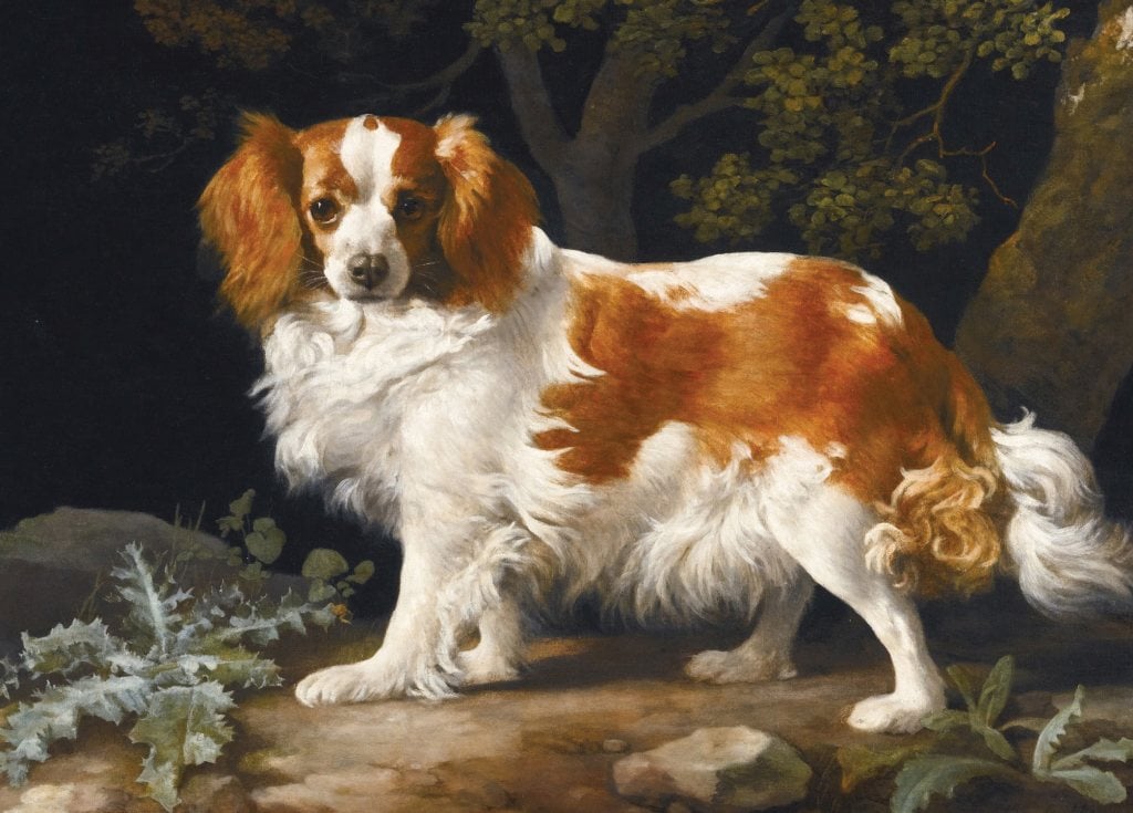 A Liver and White King Charles Spaniel in a Wooded Landscape - George Stubbs - Greetings Card by George Stubbs