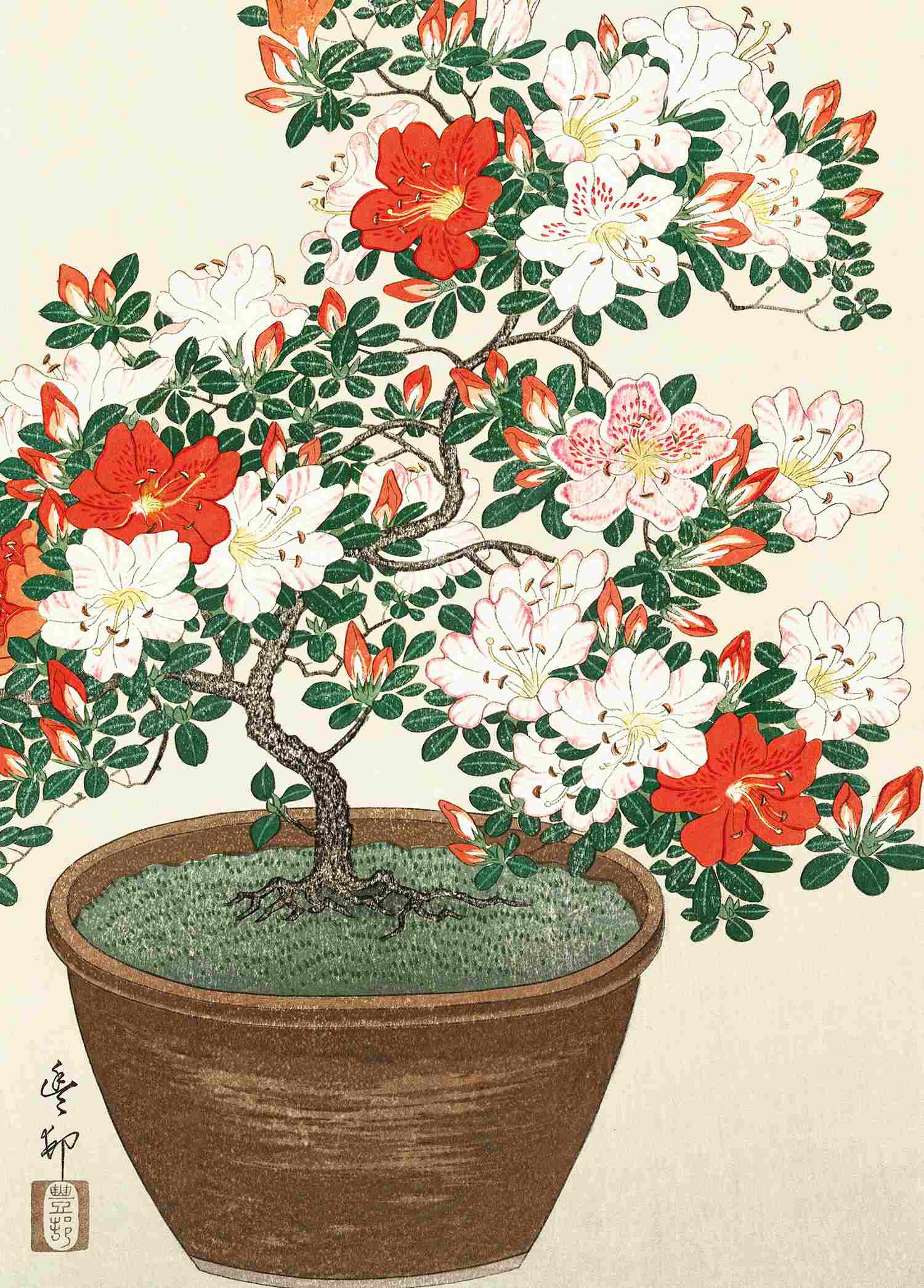 Blooming Azalea in Brown Pot - Ohara Koson - Greetings Card by Ohara Koson