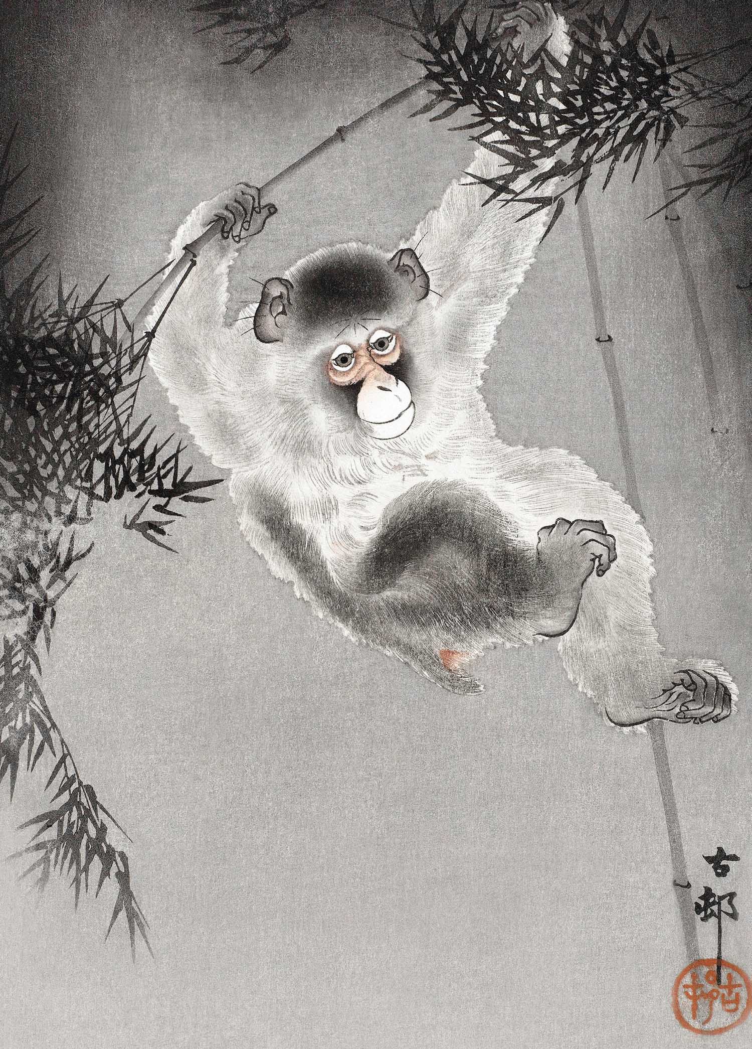 Monkey Hanging From Bamboo Branch - Ohara Koson - Greetings Card by Ohara Koson