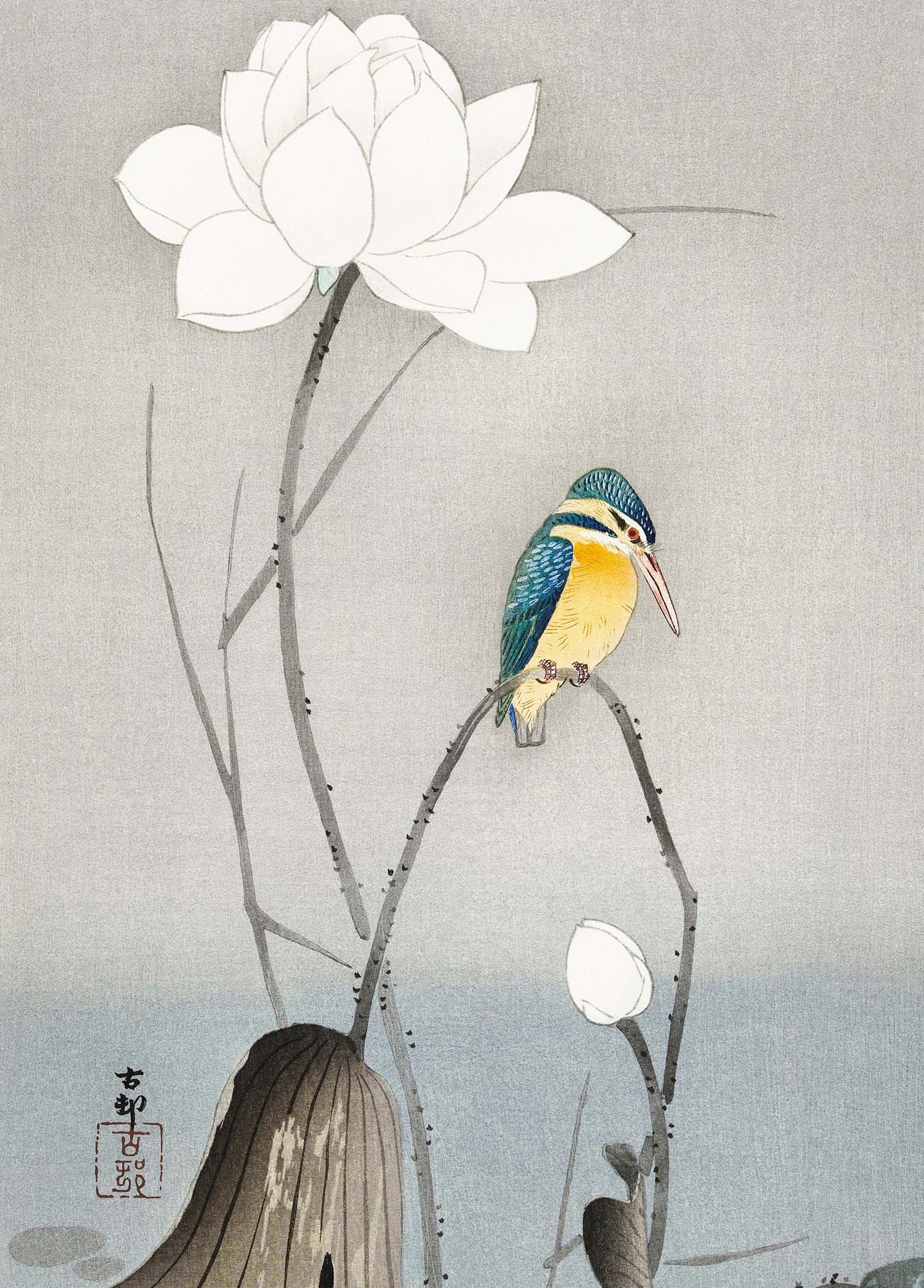 Kingfisher With Lotus Flower - Ohara Koson - Greetings Card by Ohara Koson